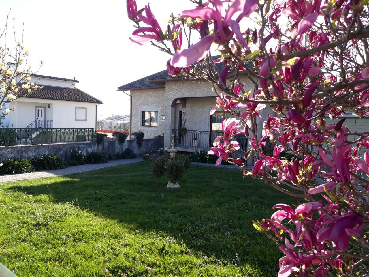 Cynda'S Home Viseu Extérieur photo